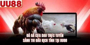 Đá Gà Cựa Dao Trực Tuyến - Sảnh Thi Đấu Kịch Tính Tại UU88