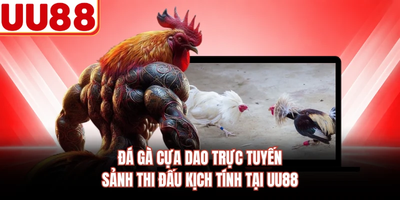 Đá Gà Cựa Dao Trực Tuyến - Sảnh Thi Đấu Kịch Tính Tại UU88