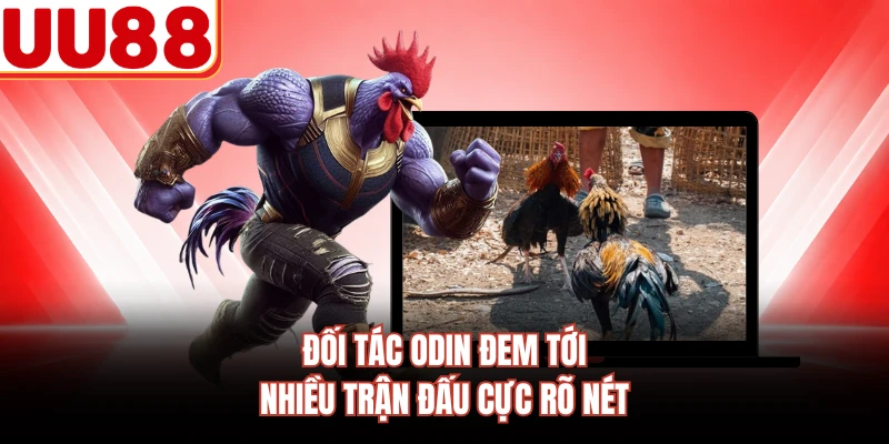 Đối tác ODIN đem tới nhiều trận đấu cực rõ nét