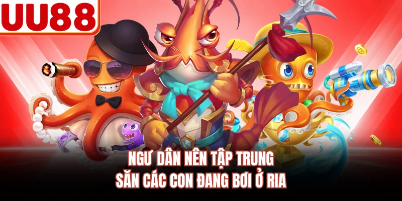 Ngư dân nên tập trung săn các con đang bơi ở ria