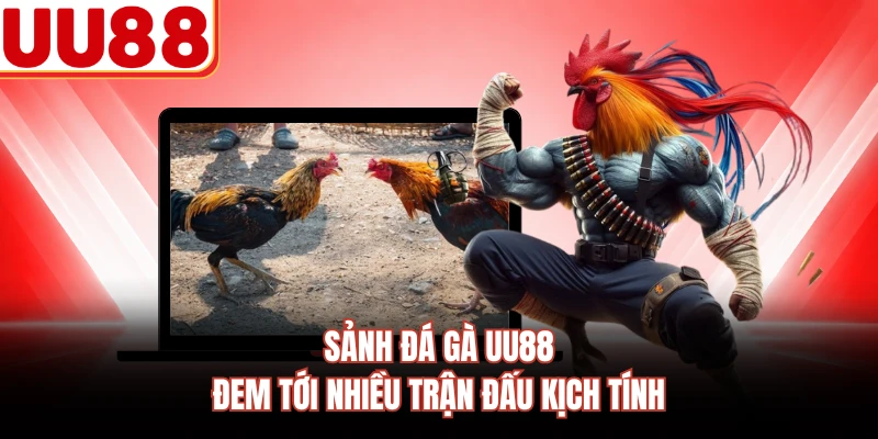 Sảnh đá gà UU88 đem tới nhiều trận đấu kịch tính